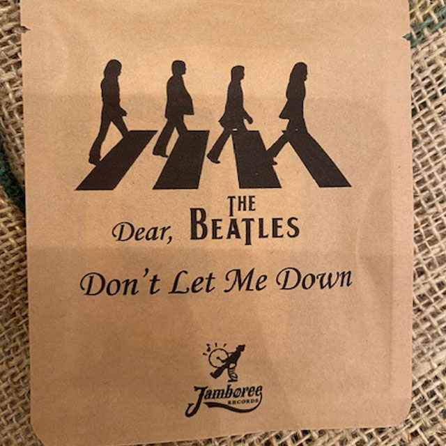 ビートルズ名曲シリーズ】Don't Let Me- Down